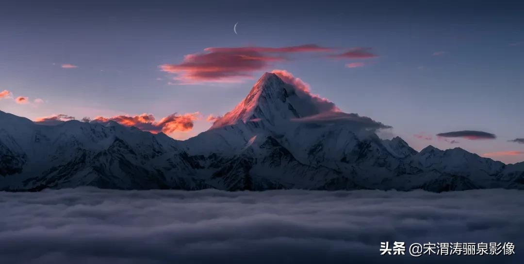 ipa国际动态摄影大赛获奖作品,2020年ipa摄影奖获奖作品