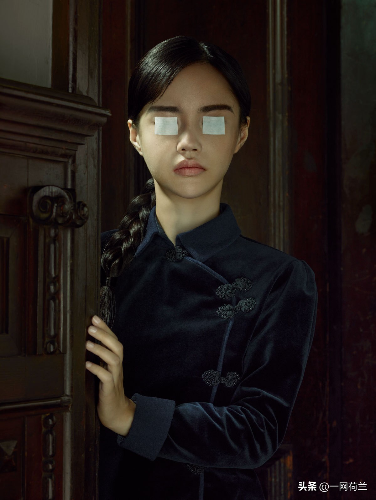 荷兰皇家御用摄影师,荷兰奥拉夫朱顶红