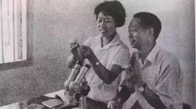 “闪婚”英语怎么说？跟flash闪电有关吗？