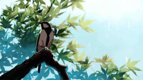 关于雨的日语名字,跟雨有关的日语名