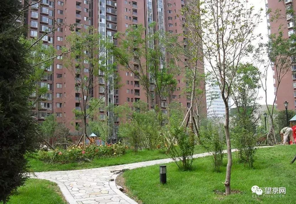 望京哪个小区好,望京区哪个小区好