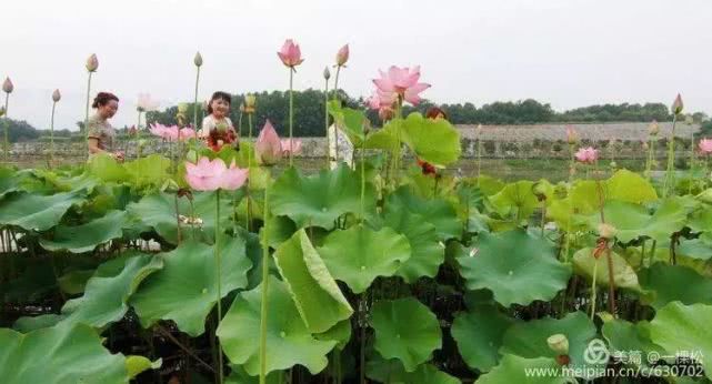 西乡周边景色美的地方,西乡哪里有夜景好看的