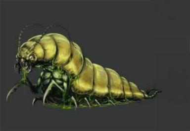 苗疆蛊毒，真的如人们口中所说的那样，望而生畏吗？