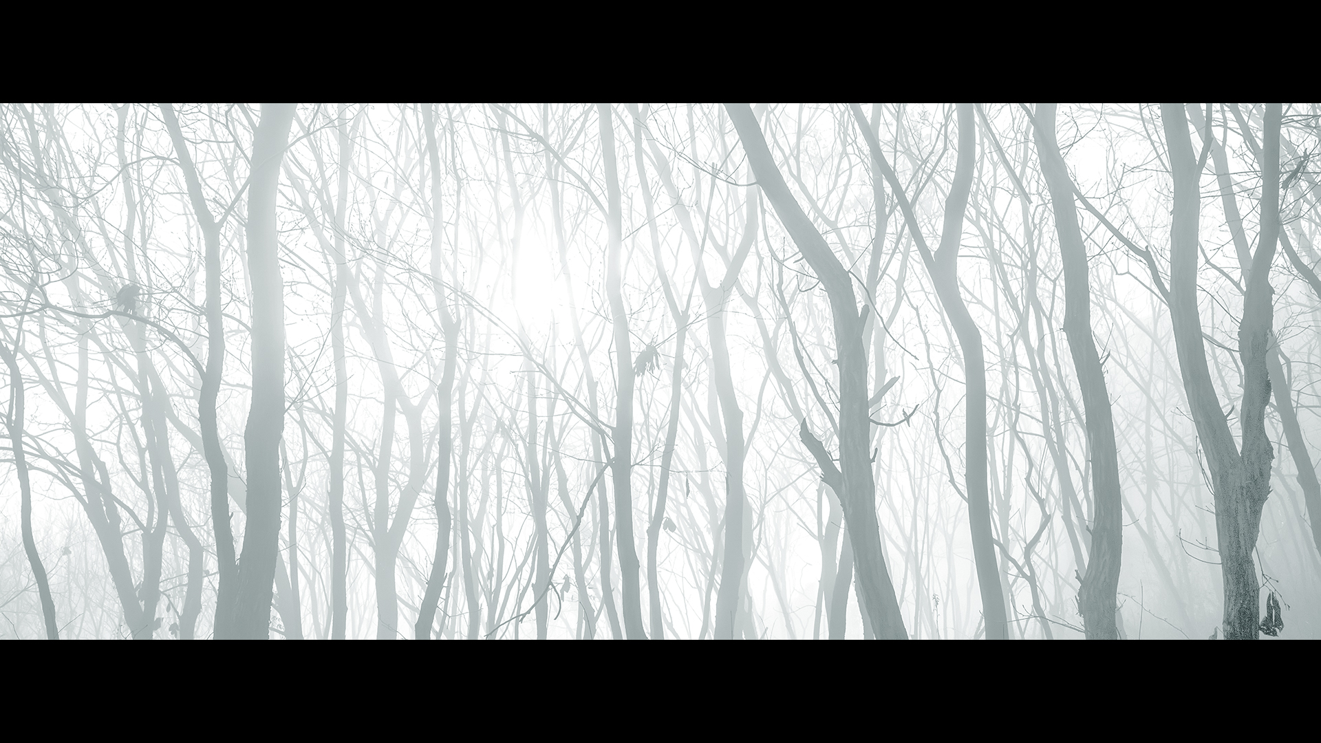 佳能eosm200夜景拍人像,佳能eosm200拍摄效果