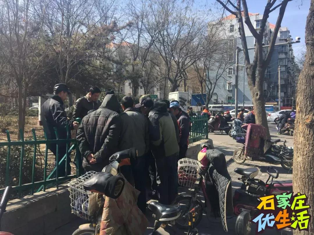 夹缝里生存,夹缝中生存