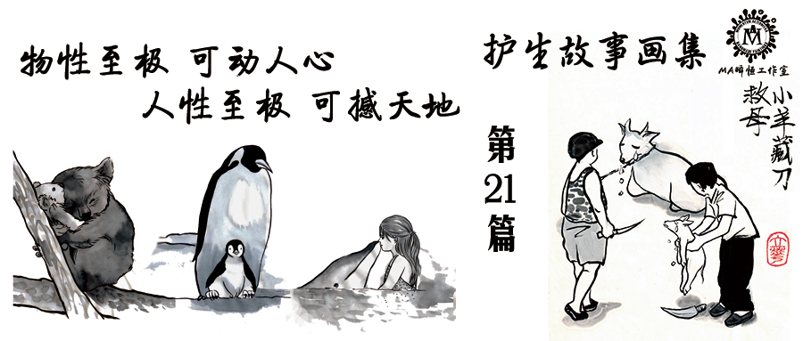 骑行中国第21天露营,骑行北疆大环线