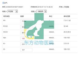 楂樼骇鍔ㄧ墿鍖荤敓,椤剁骇鍔ㄧ墿鍖荤敓