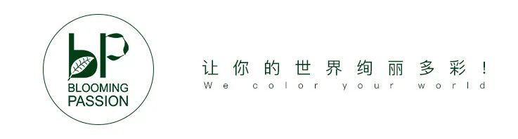 十大顶级绣球品种,最好养的绣球品种