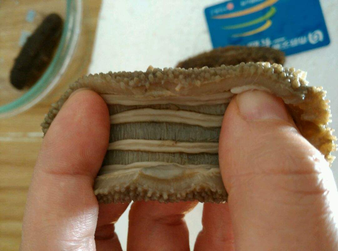 怎么清洗即食海参里的沙子,海参洗了很多次还是有沙子