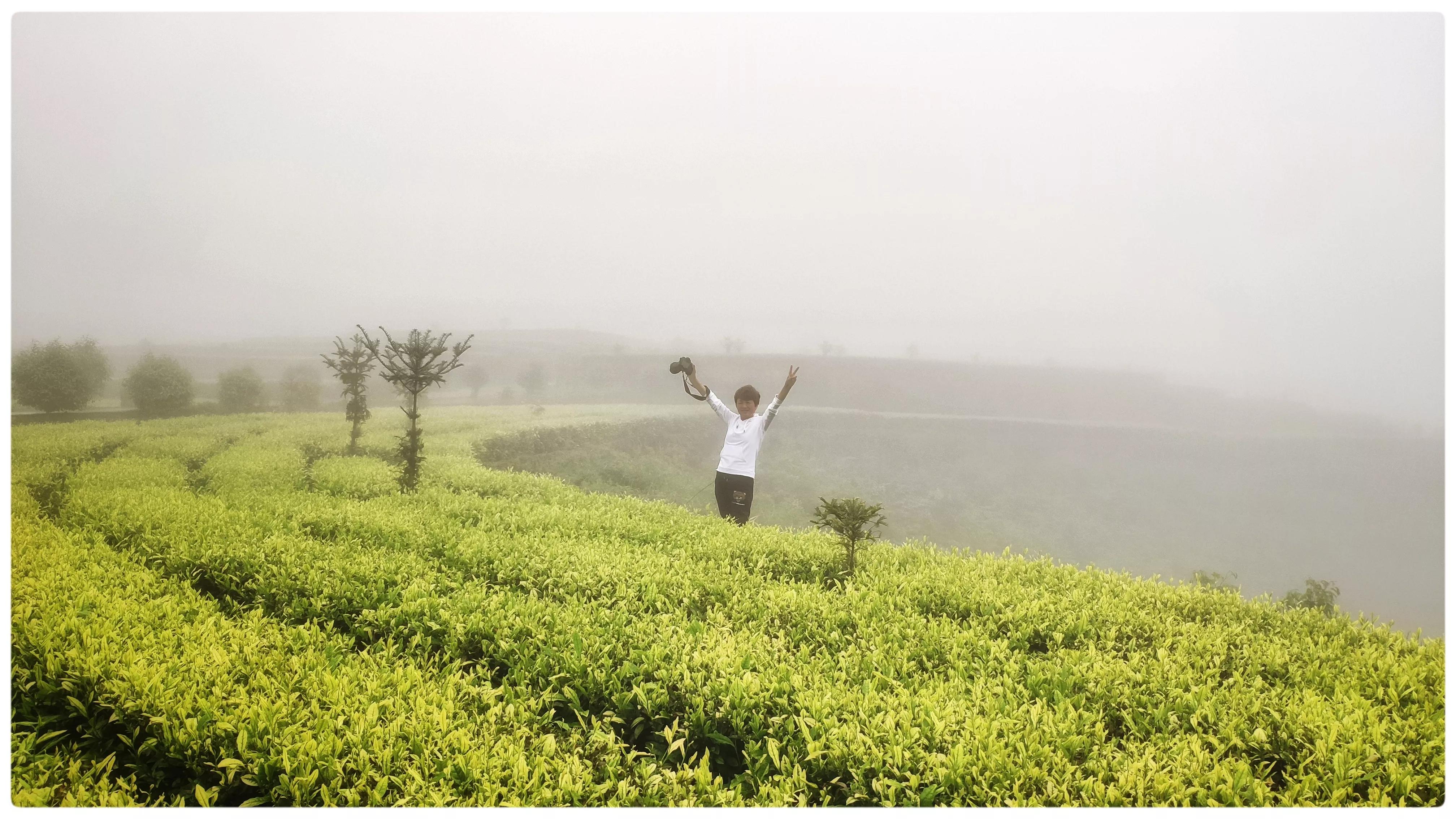 丽水遂昌深山秘境,遂昌姚岭山路