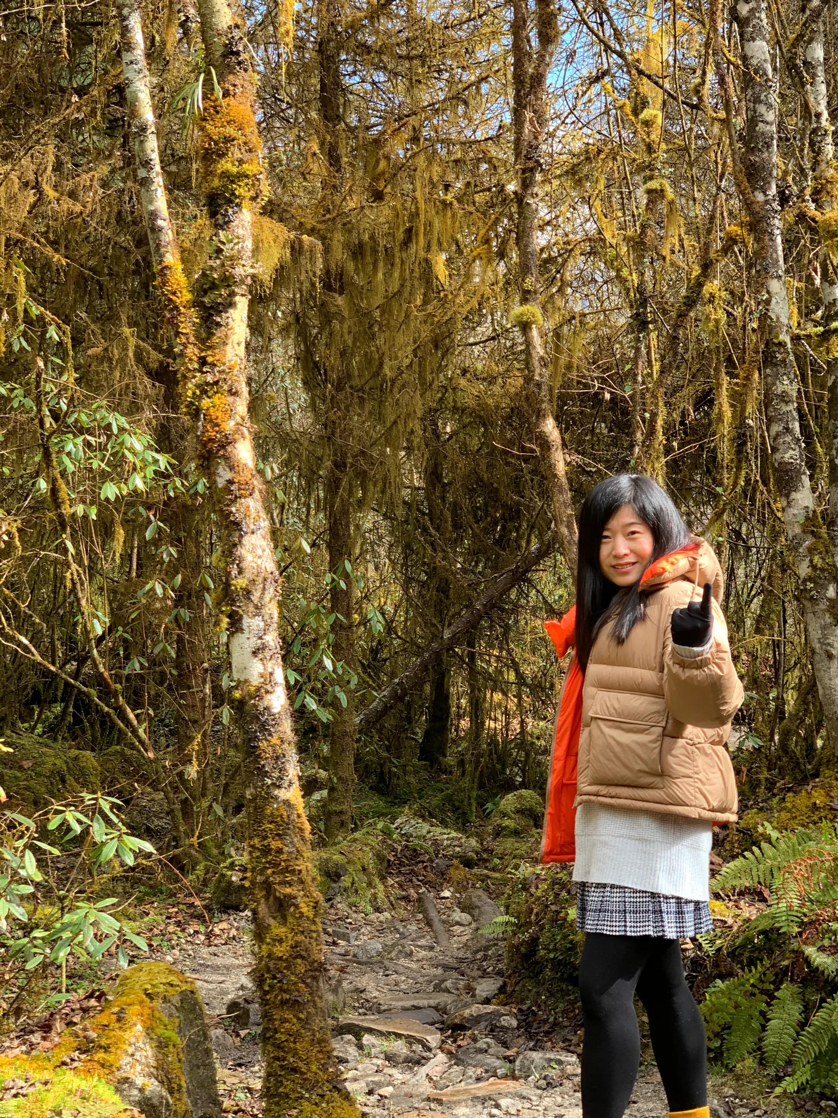 海螺沟燕子沟旅游攻略,海螺沟和燕子沟哪个更值得去