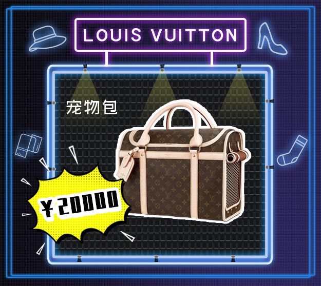 看到它3万块的项圈后，月薪3000的我瑟瑟发抖……