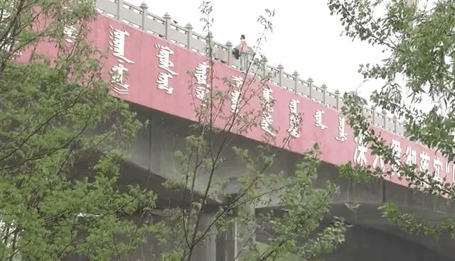 梦想赚500块钱,河南小伙希望每天赚300块钱