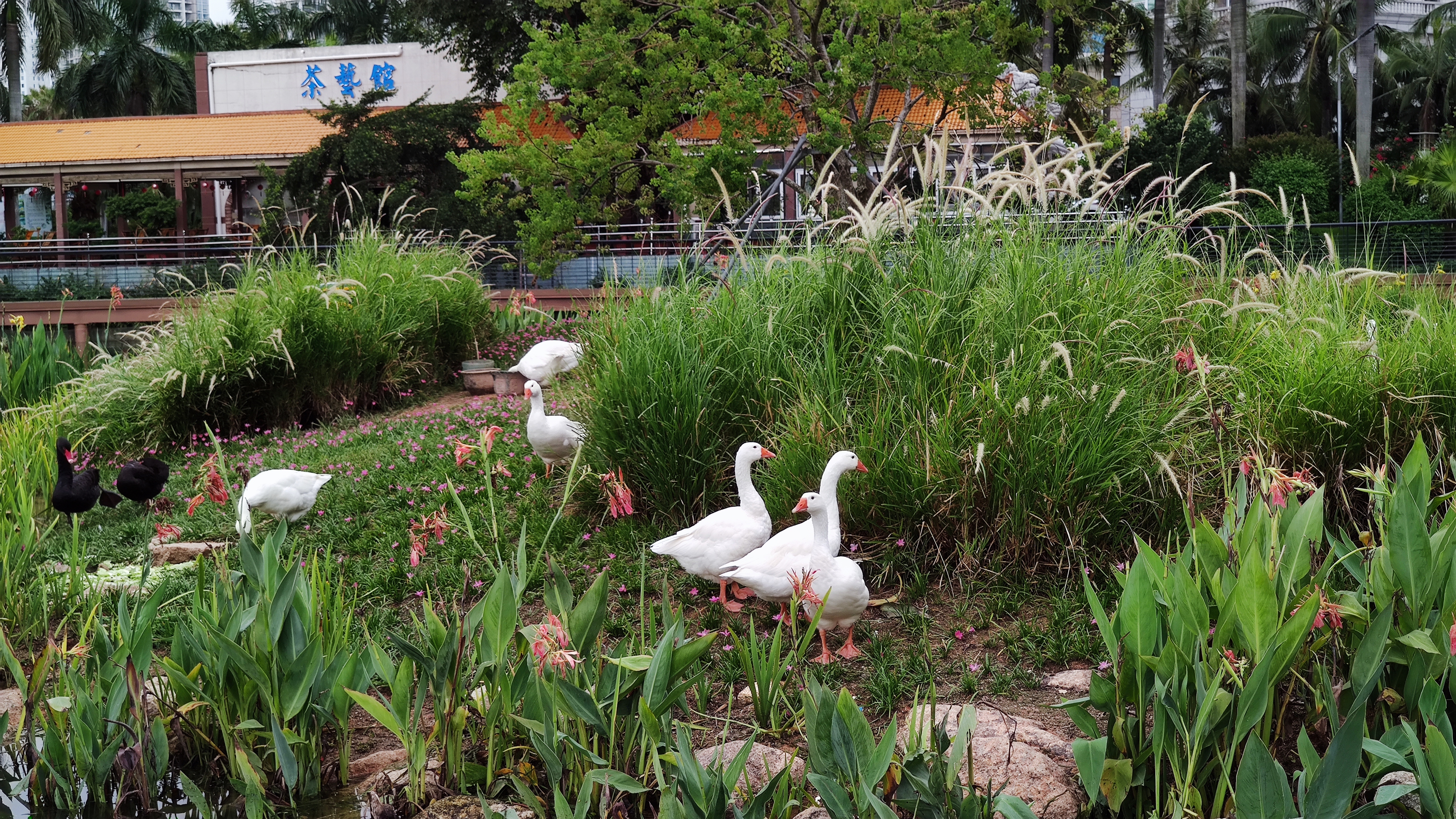 珠海玩海的五星级酒店,珠海邮轮旅游推荐