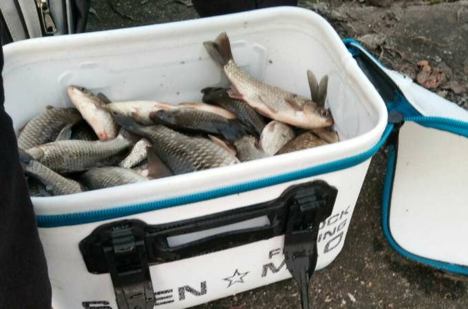 走水鱼不好钓怎么搞,一招解决走水钓鱼