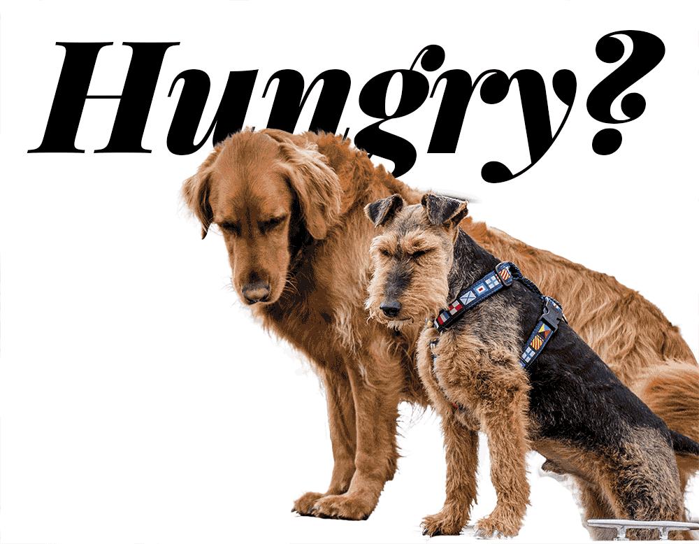 ps转换点工具快捷键是什么,ps常用快捷键大全帮助快速学成