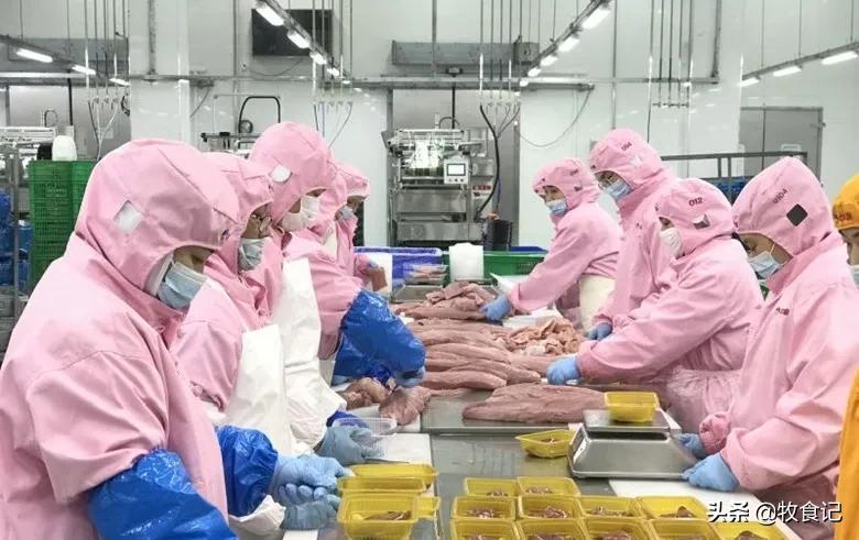 中粮家佳康2023年出栏量,中粮集团家佳康猪肉供货渠道