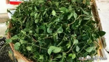 汕头澄海樟林美食,潮州樟林好吃的