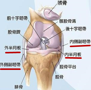 膝关节炎可以通过游泳恢复吗,游泳哪种姿势对腰椎病恢复最好