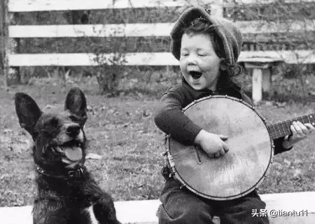 文章点赞量最高的经典霸气句子,点赞最多的智慧语录