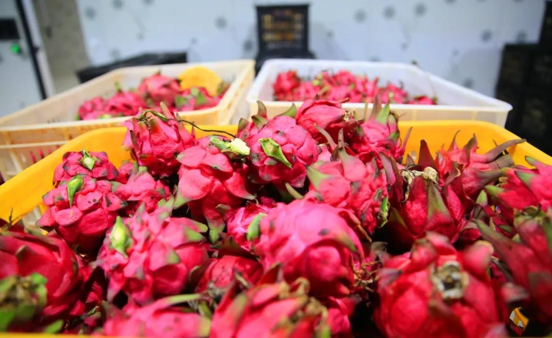 奋斗百年路启航新征程丨红色堡垒水井村！