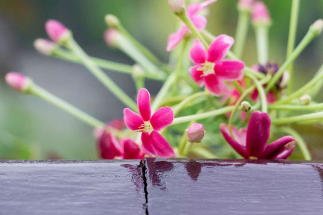 深圳好玩景点地铁路线,深圳好玩免费景点地铁直达的