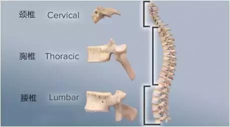 颈椎病三招搞定,几招搞定颈椎病