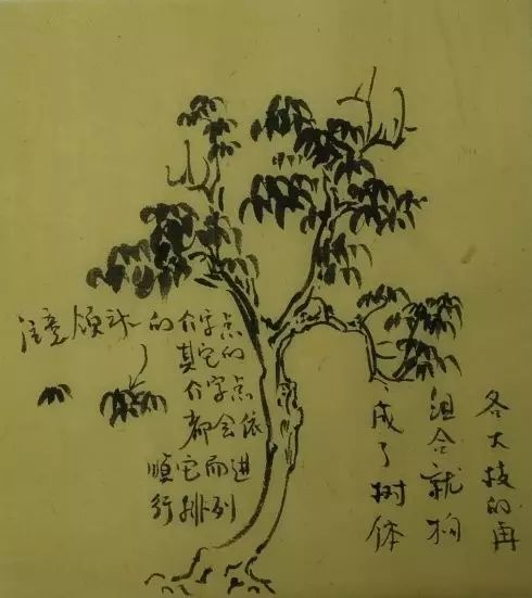 树的基本画法视频,树的素描画法