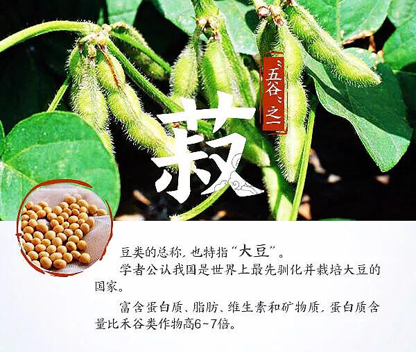 涨知识涨见识诗词,涨知识古代文明