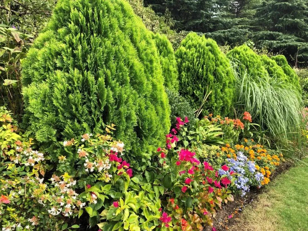 世纪公园拍照馆,世纪公园拍照出片的地方