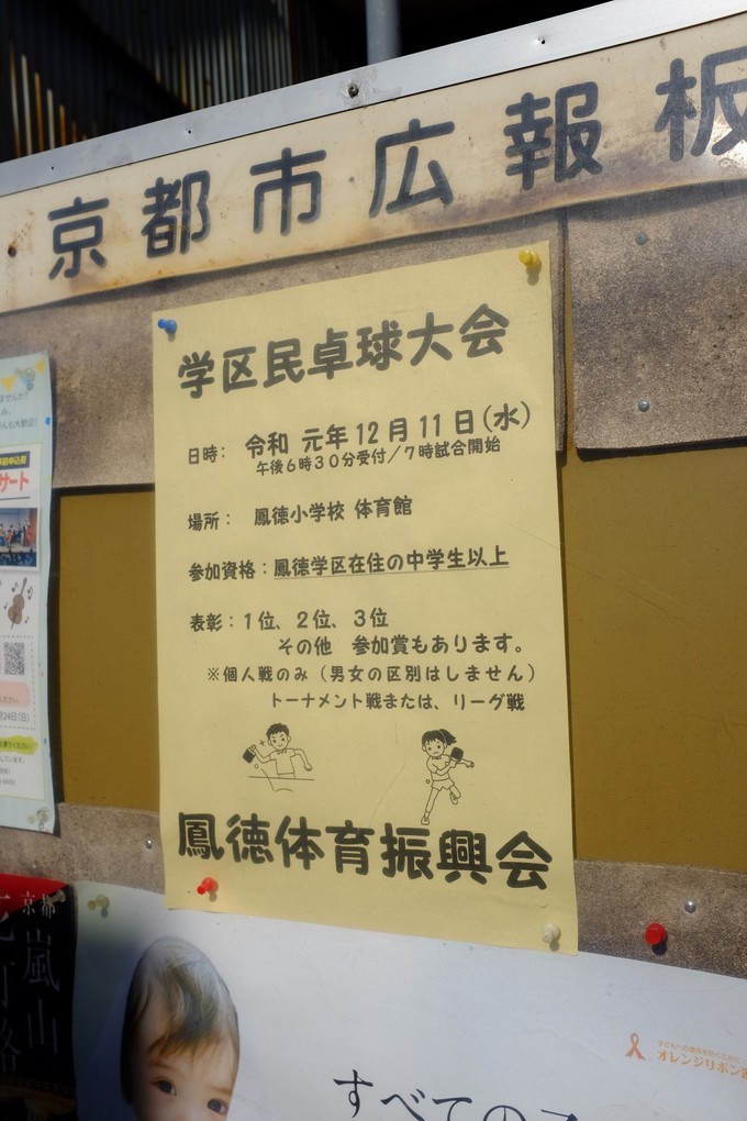 京都赏枫2022,京都赏枫必去景点有哪些好玩的