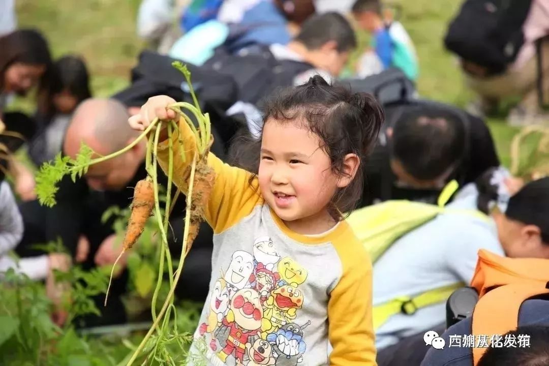 这个暑假去哪个地方玩不热,这个季节去从化有什么好玩的