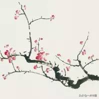 霍春阳讲解梅花的画法,霍春阳梅花构图