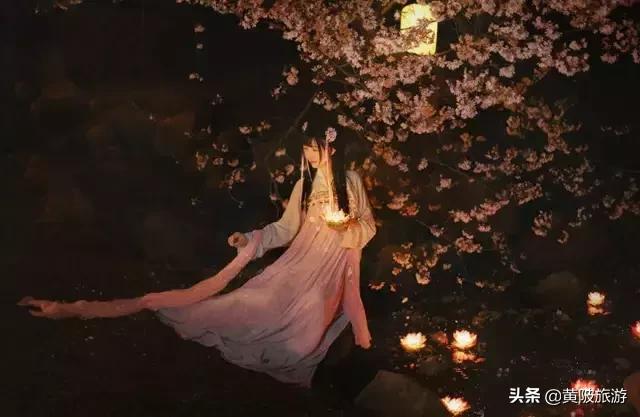 清凉寨樱花最佳赏花时间,清凉寨中华樱花