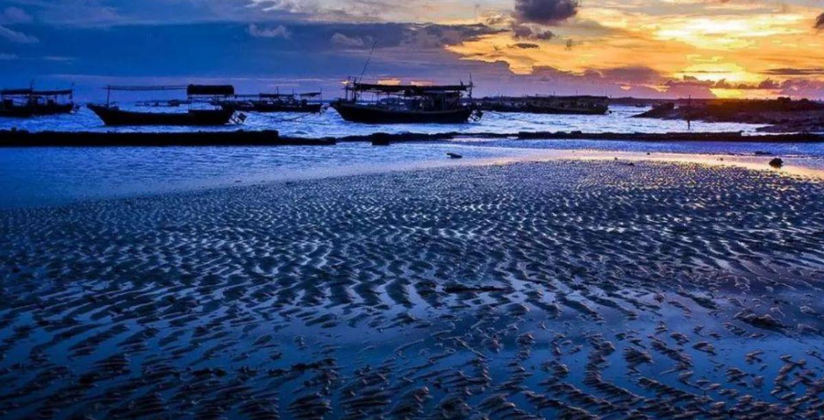 徐闻菠萝与武汉菠萝区别,徐闻菠萝跟普通菠萝的区别