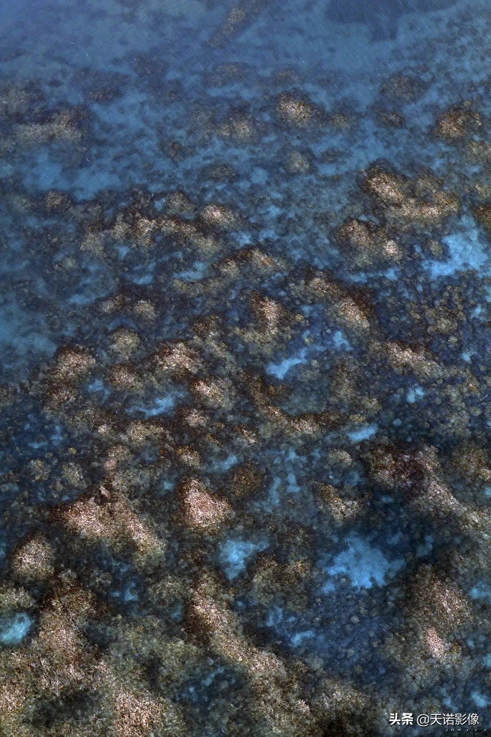 徕卡相机sl2与sl2s哪个更好,极致相机最新版