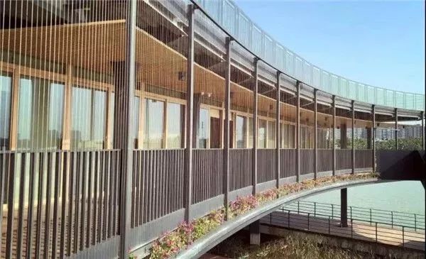 看龙舟提前感受端午的气息,端午玩龙舟可以这样玩