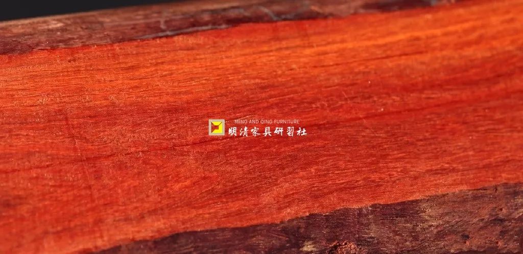 紫檀的真实身份,紫檀的一生