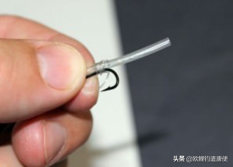 欧鲤钓钓组篇,欧鲤钓组和飞德钓组