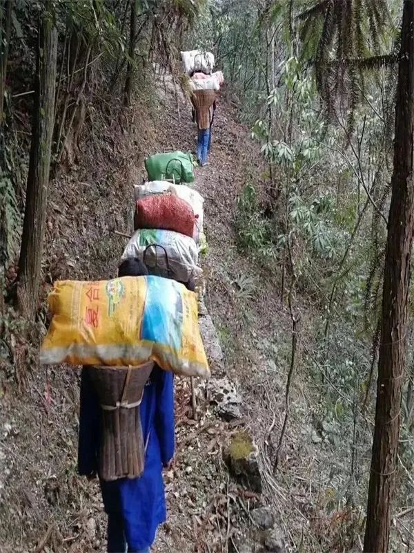 盘点疫情中那些振奋人心的古诗词,值得我们久久回味