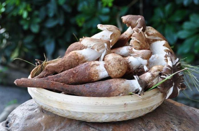 农村里的7种“野味”,现在很少能买到了,全吃过的人估计不多