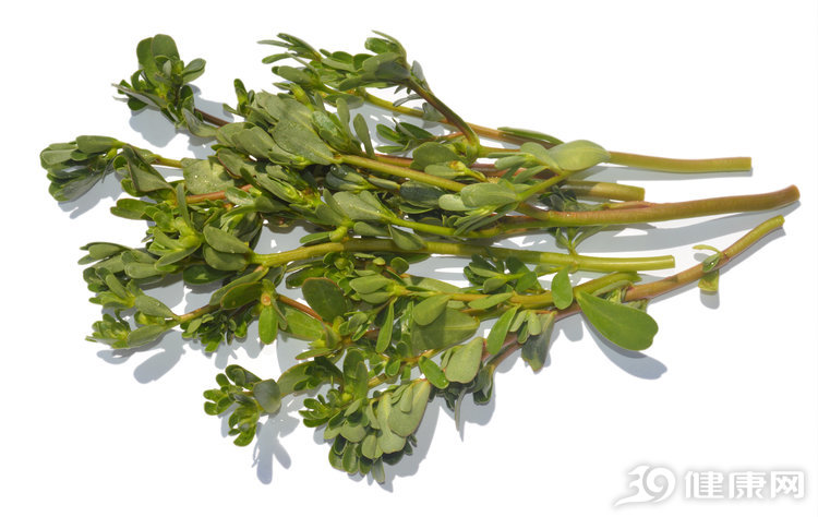 马齿苋被称为长寿菜,越吃越长寿的三种菜马齿苋