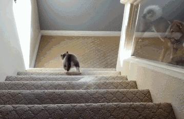 身份证110开头是什么意思,身份证110开头的为什么不是北京的