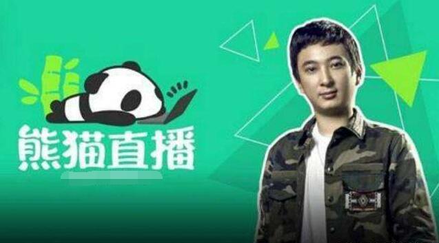 王思聪创业都搞过啥,王思聪创业亏了多少亿