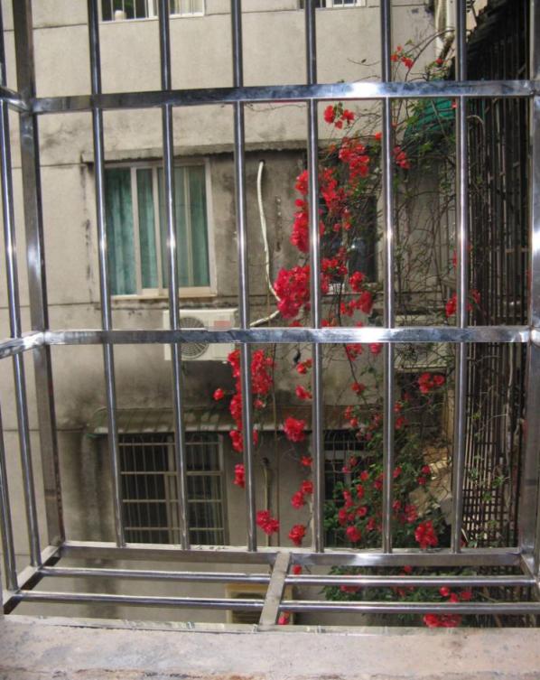 防盗网太丑怎么解决,国外装防盗网非常少