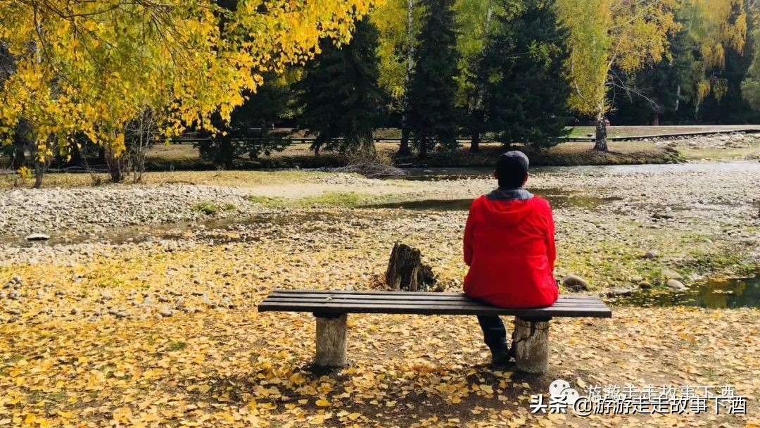 *疆新**自由1：15000公里带狗走全疆（*疆新**全程路书）