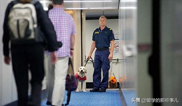 澳洲禁止入境物品最新规定,入境澳洲哪些东西能带哪些是禁带