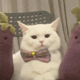 坚持做这五件事你的运气会更好,坚持做这些事就能变美