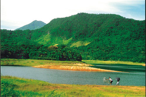 盐城大丰农场上海,盐城大丰生态农场