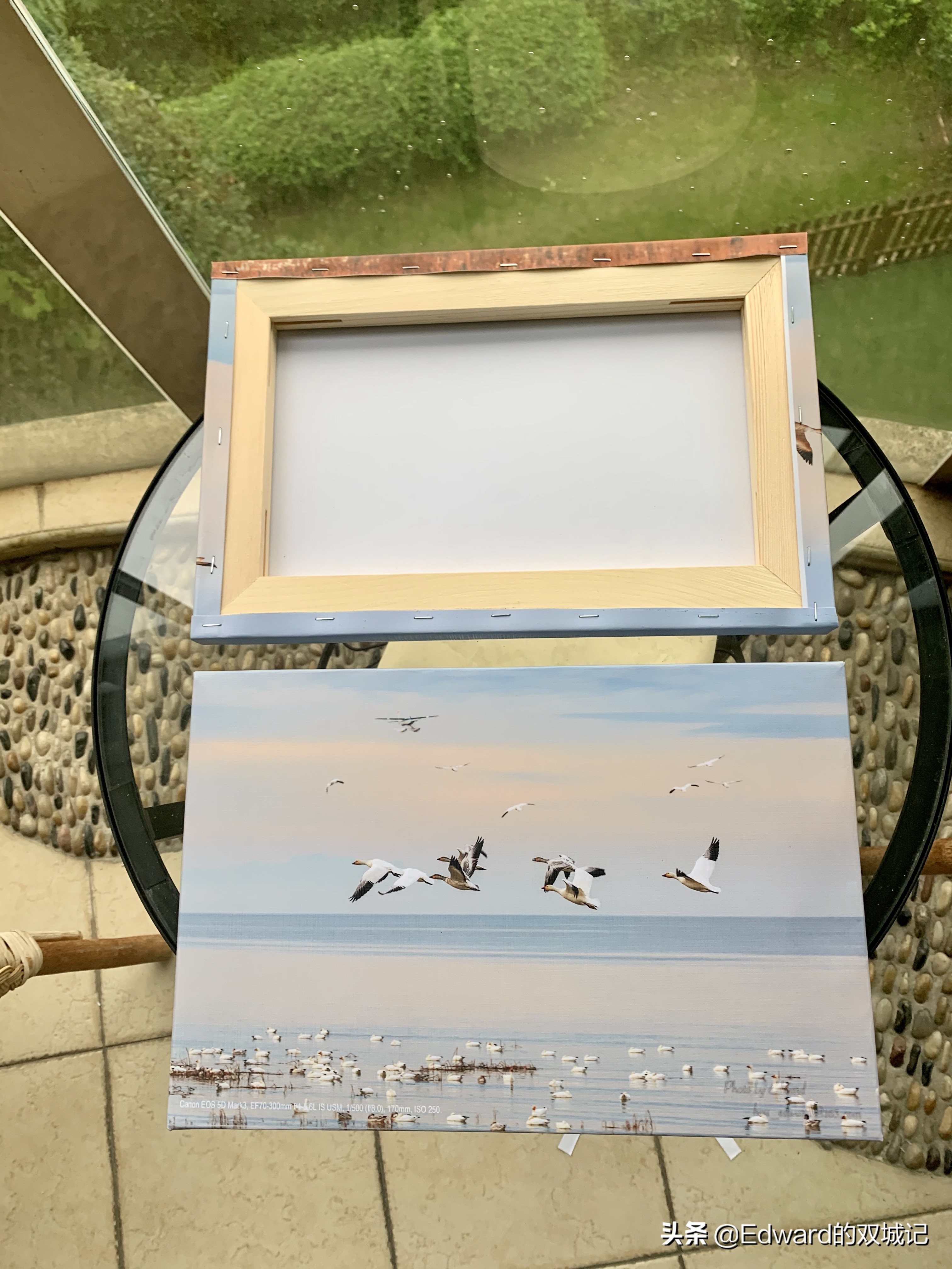 自由摄影师摆摊需要些什么,摄影摆摊怎么入行